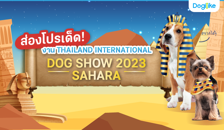 dogilike-thailand-international-dog-show-2023-dogilike